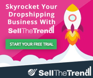 Read more about the article SELL THE TREND, A Better Dropshipping Tool?