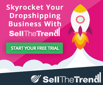 You are currently viewing SELL THE TREND, A Better Dropshipping Tool?